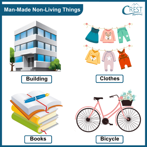 Examples of Man-Made Non-Living Things