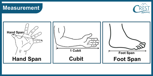 Cubit, Hand and Foot Measurement - Science Grade 6