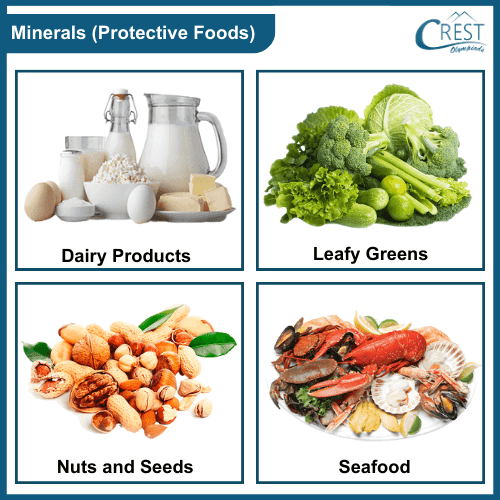 Example s of foods that are rich in minerals