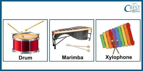Music Instruments: Drums, Marimba, and Xylophone - CREST Olympiads