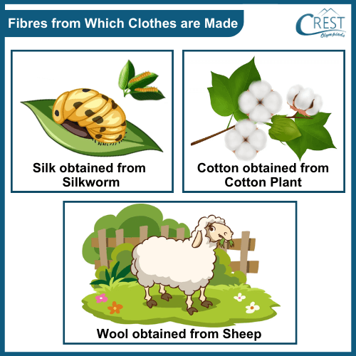 Natural fibres from Plants and Animals