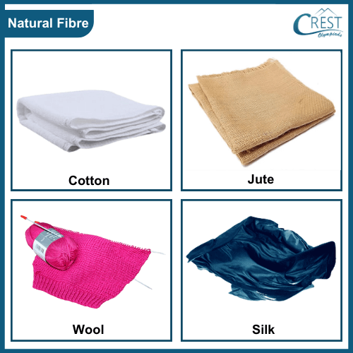 Example of various types of Natural fibres