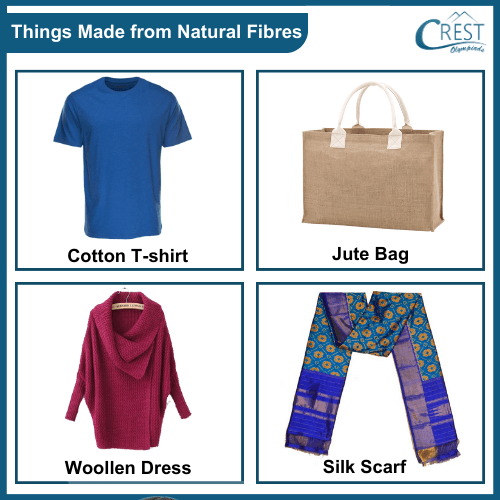 Examples of Natural fibres