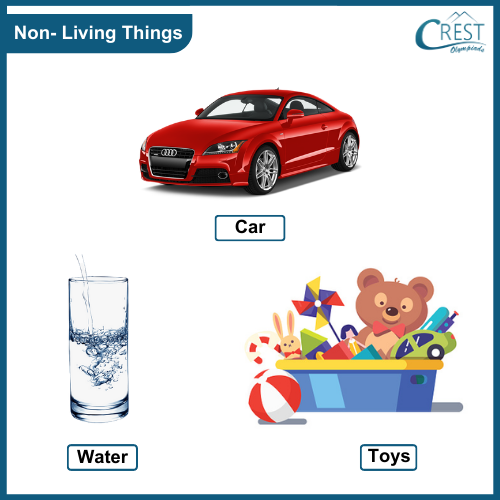 Examples of Non-Living Things