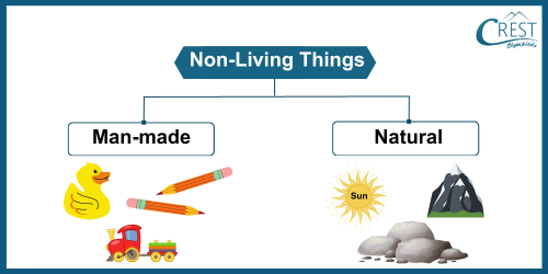 Non Living Things - Definition, Characterstics and Examples