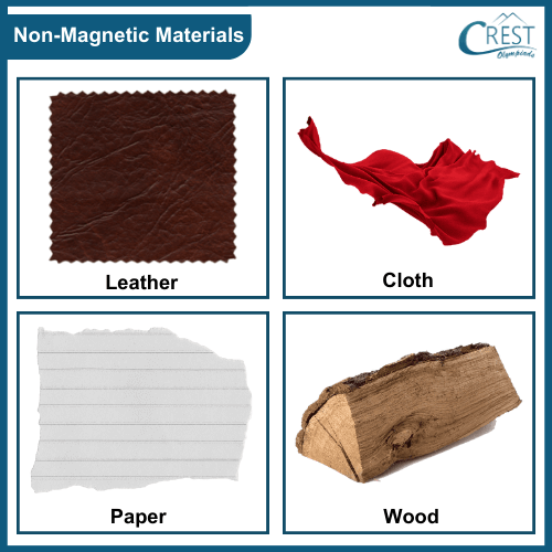 Examples of Non Magnetic materials - Science Grade 6