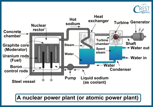 Labelled Diagram of a Nuclear Power Plant - CREST Olympiads