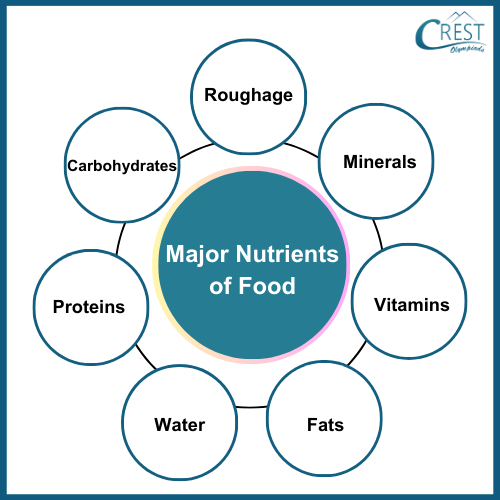 Chart on Components of Food - Science Grade 6