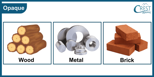Examples of Opaque Materials - Science Grade 6