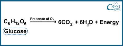 Chemical Equation of Aerobic Respiration - CREST OLympiads