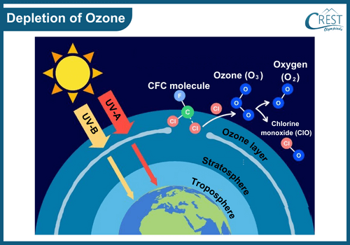 Depletion of Ozone: Definition, Features, Characterstics etc - CREST Olympiads