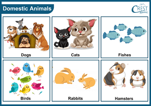 Examples of Domestic animals