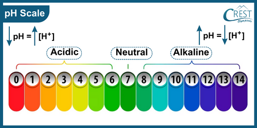 pH Scale - Natural Indicators