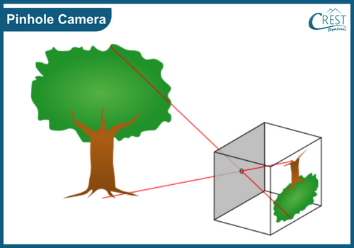 Pinhole Camera - Chapter Light