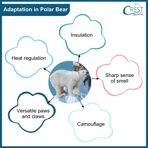 Weather Climate And Animal Adaptation Class 7 Notes Science Olympiad