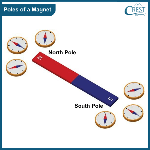 Diagram of Poles of a Magnet - Science Grade 6