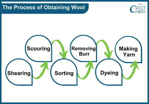 Process of obtaining wool - Science Grade 7