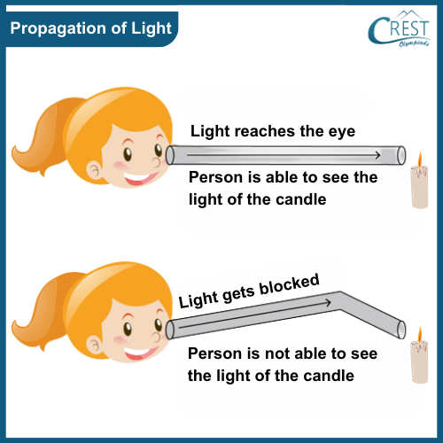 Propagation of light - Science Grade 6