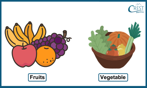 Protective Foods - CREST Olympiads