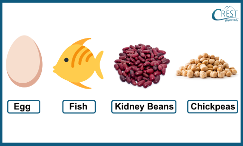 Protein Foods - CREST Olympiads