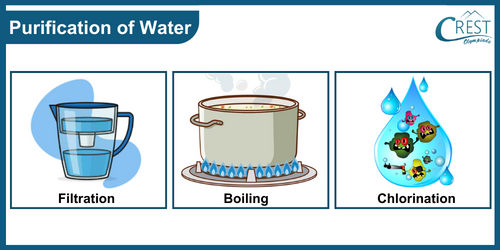 Different process for purification of water