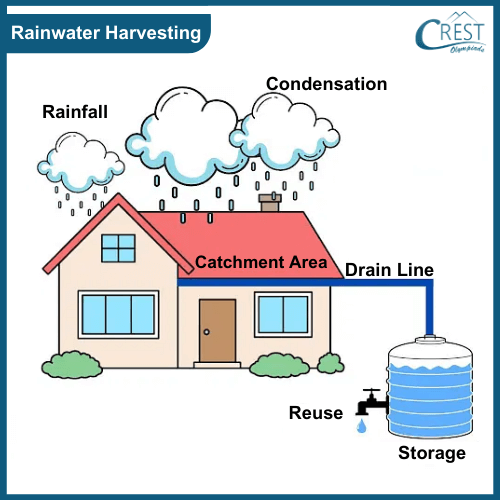 Example of Rainwater harvesting