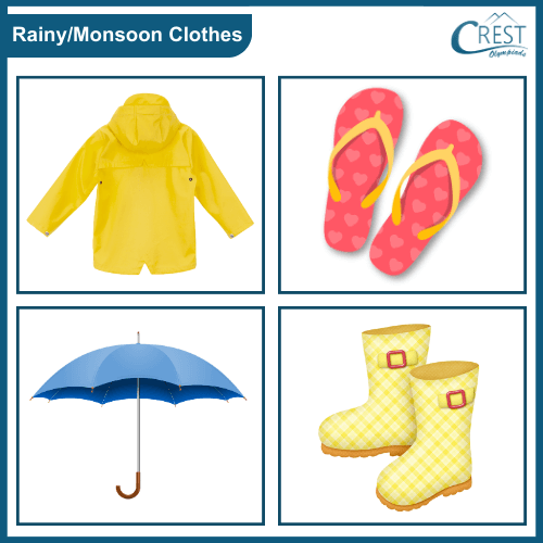 Examples of Rainy Clothes