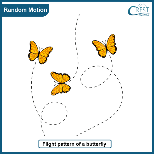 Example of Random motion - Science Grade 7