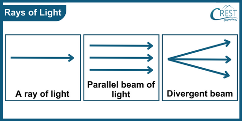 Rays of light - Science Grade 6