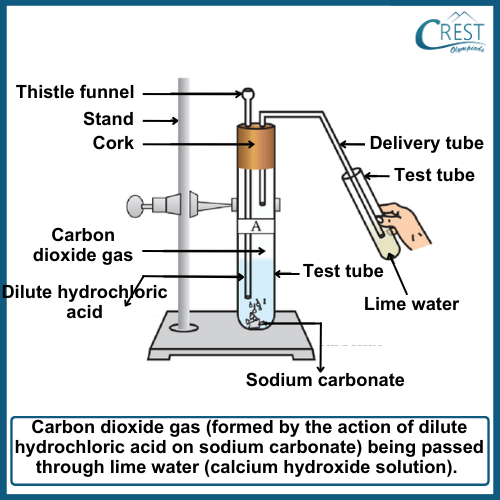 Experiment to Test the presence of Carbon Dioxide - CREST Olympiads