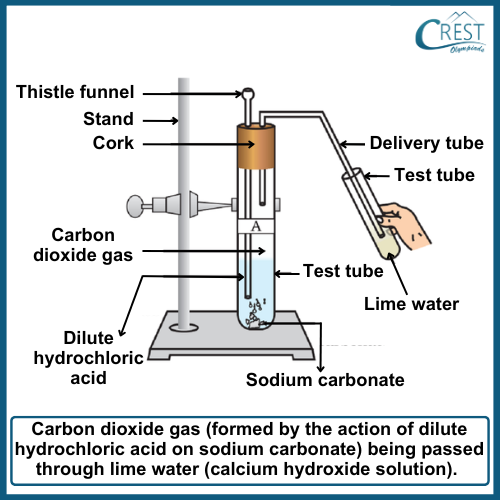 Experiment to Test the presence of Carbon Dioxide - CREST Olympiads