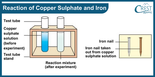 Reaction of Copper Sulphate and Iron - Science Grade 7