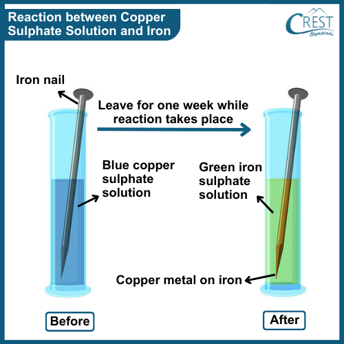 Reaction between Copper Sulphate Solution and Iron - Science Grade 8