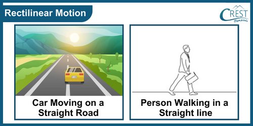Example of Rectilinear Motion - Science Grade 6