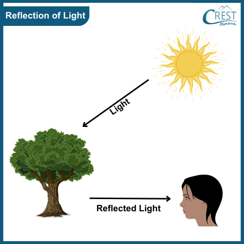 Diagram of Reflection of light