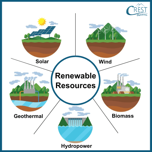 Examples of Renewable resources