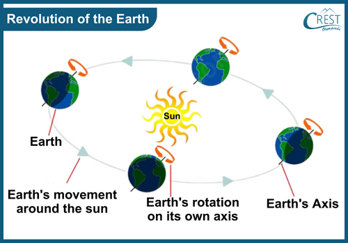 Revolution of the Earth - Science Grade 5
