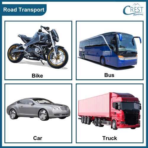 Different types of Road transport