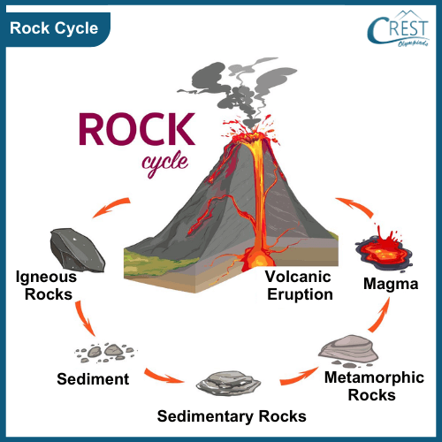 The Rock cycle