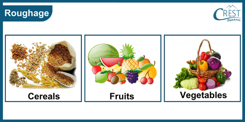 Examples of Roughage foods