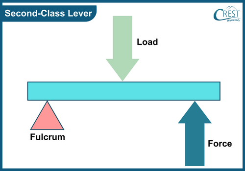 Simple Machines - Second class lever