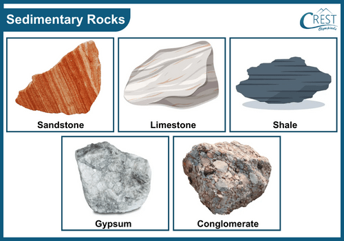 Different types of Sedimentary rocks