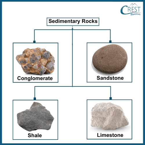 Examples of Sedimentary rocks