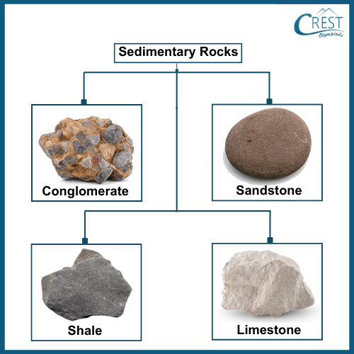 Soil and Rocks as Natural Resources Notes | Class 5 Science