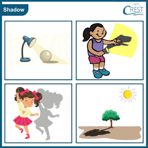 Examples of Shadow