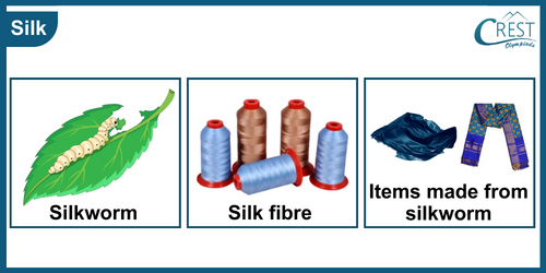 Uses of Silk - Science Grade 6