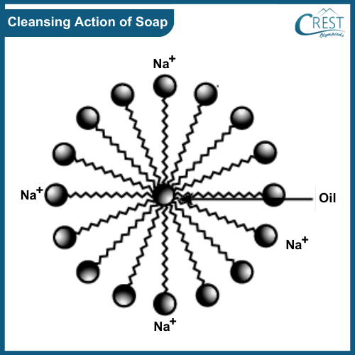 Cleansing Action of Soap Molecule- CREST Olympiads