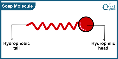 Molecule of Soap and Detergents - CREST Olympiads