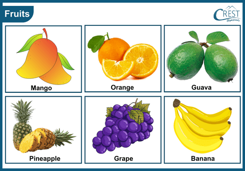 Class 3-Types of fruits