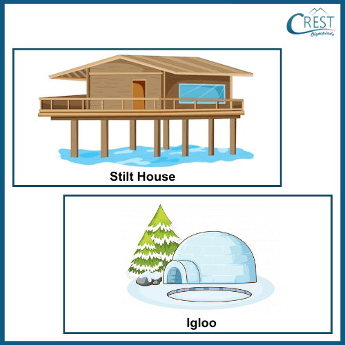 Example of Stilt House and Igloo